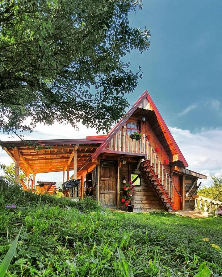 Log Cabin Uvac Nova Varoš エクステリア 写真