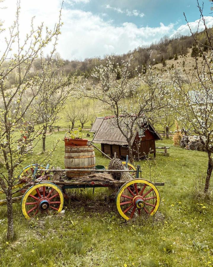 Log Cabin Uvac Nova Varoš 部屋 写真