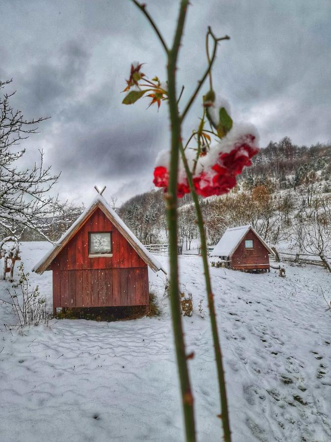 Log Cabin Uvac Nova Varoš エクステリア 写真