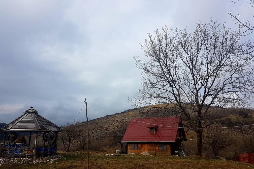 Log Cabin Uvac Nova Varoš エクステリア 写真