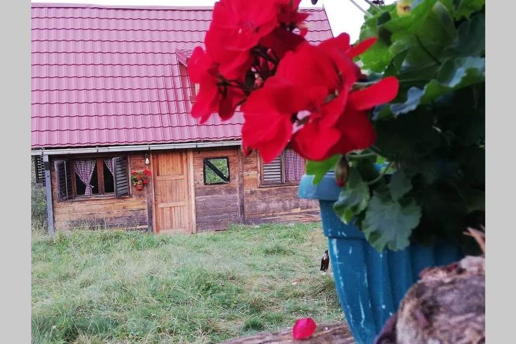 Log Cabin Uvac Nova Varoš エクステリア 写真