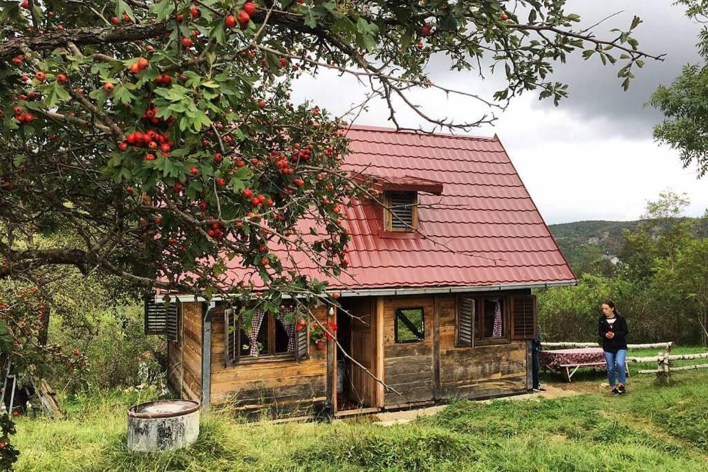 Log Cabin Uvac Nova Varoš エクステリア 写真